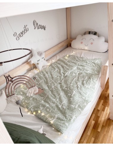 Lit à étage double avec échelle devant